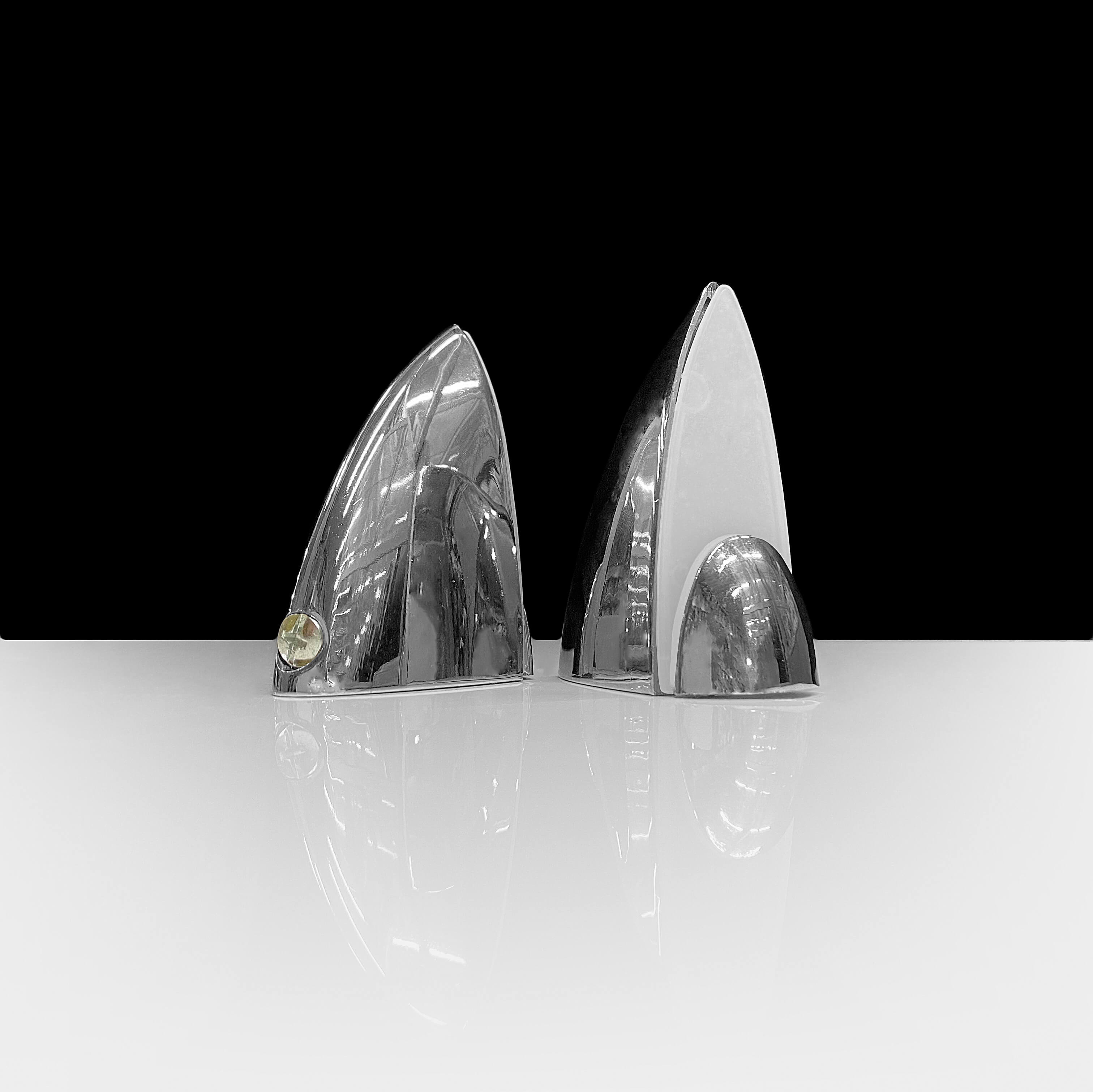 Пелікан (великий)-0